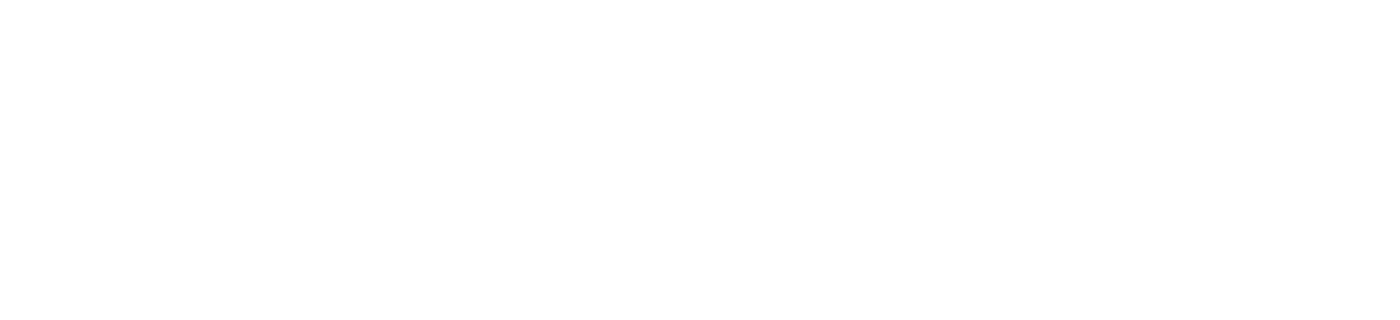 logo DocSyndic blanc