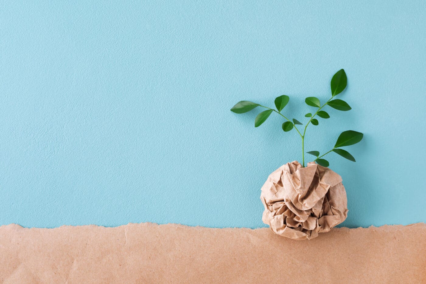 écologie matérialisée par une plante poussant dans une boule de papier